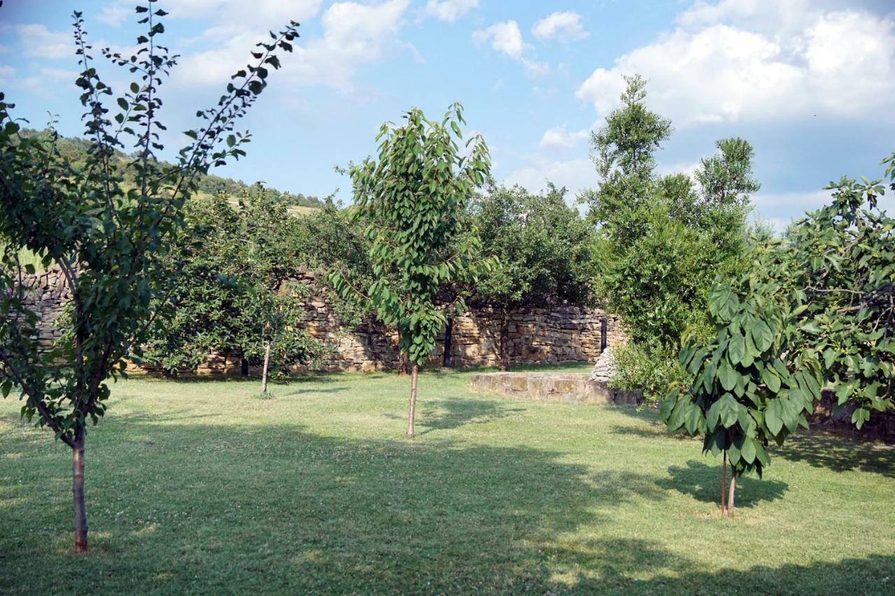 Tourist Farm With Apartments Fig Tree Dekani Екстериор снимка