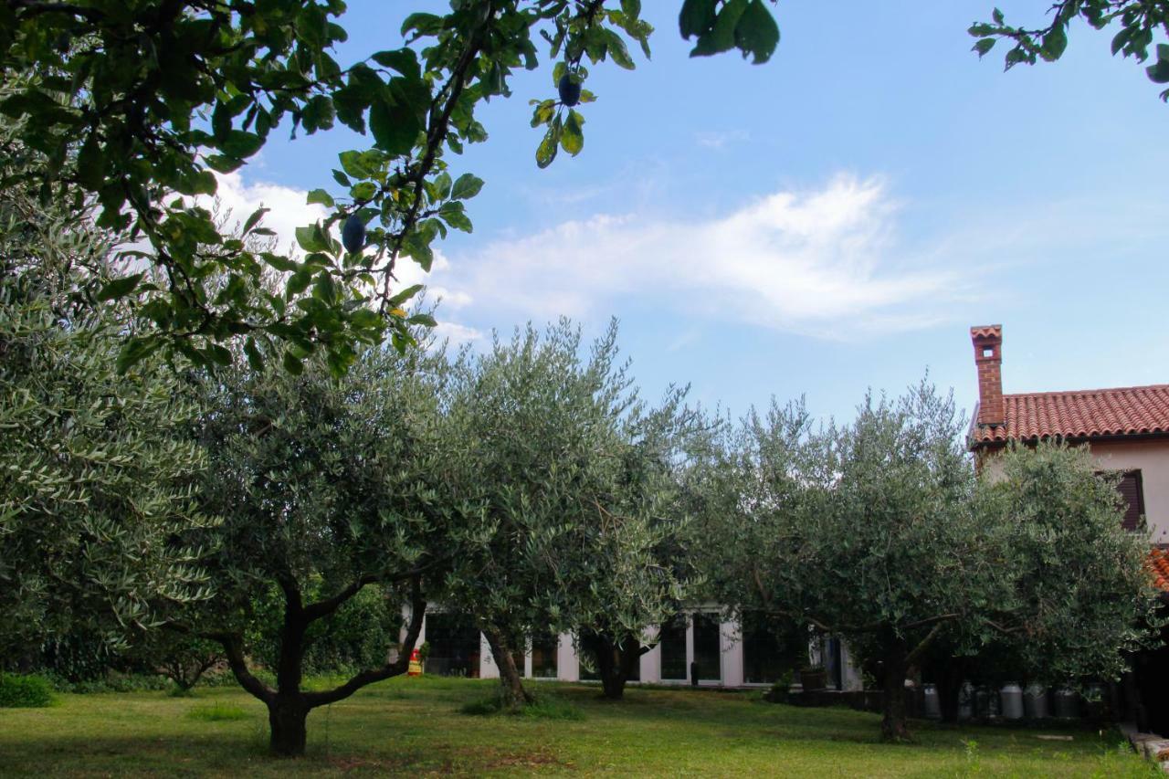 Tourist Farm With Apartments Fig Tree Dekani Екстериор снимка