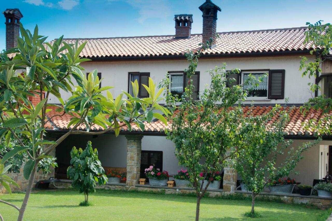 Tourist Farm With Apartments Fig Tree Dekani Екстериор снимка
